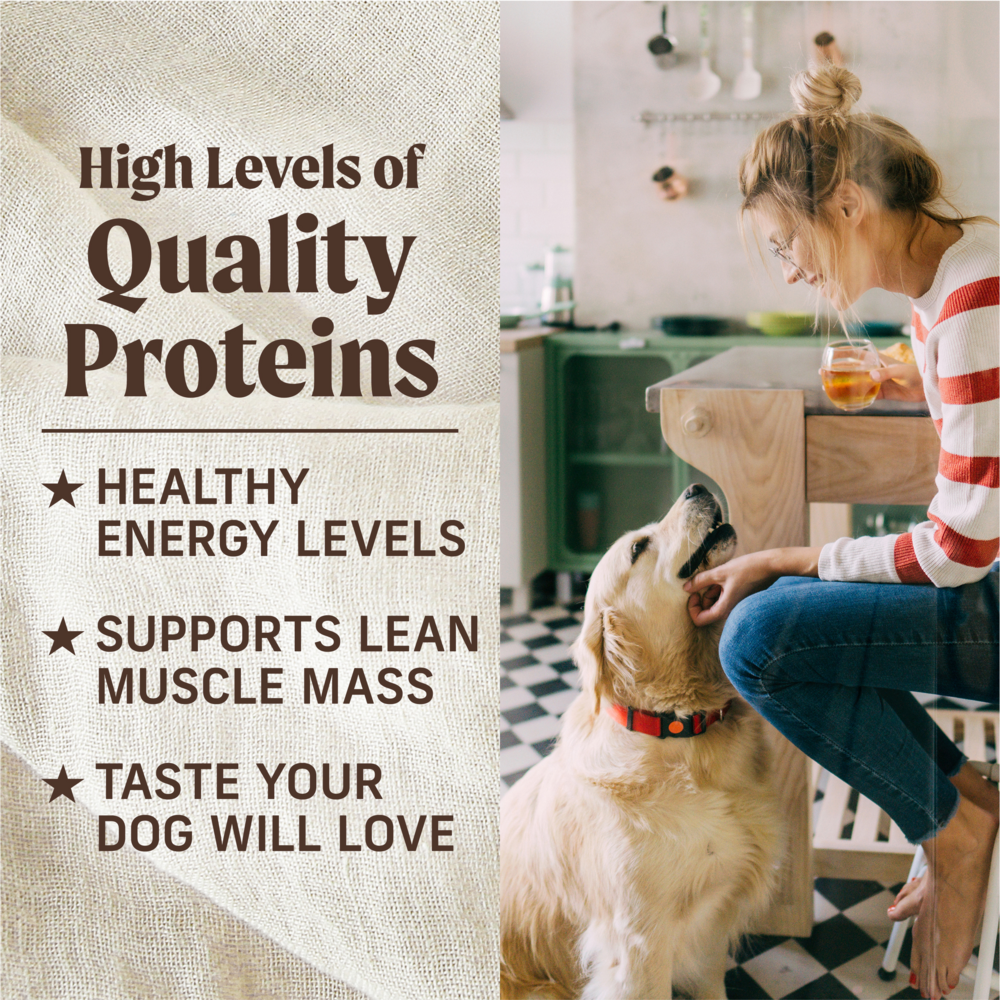 Merrick Lil' Plates Grain Free Petite Pot Pie Small Breed Adult Wet Dog Food
