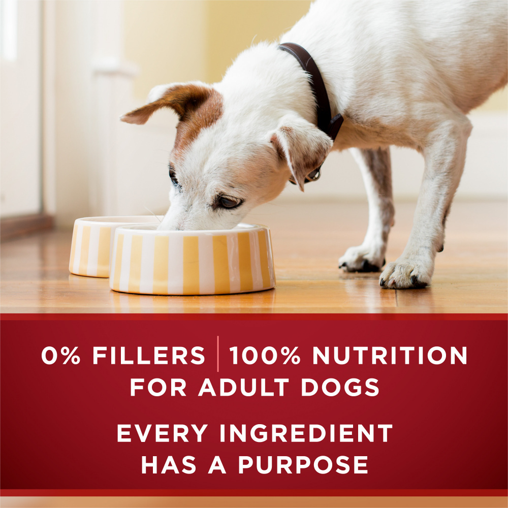 One True Instinct Grain Free Chicken and Duck Wet Dog Food