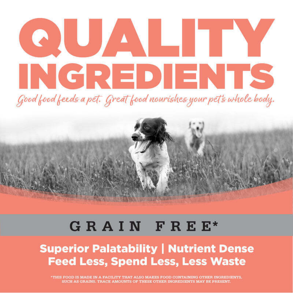 NutriSource Grain Free Small Bites Seafood Select Dry Dog Food