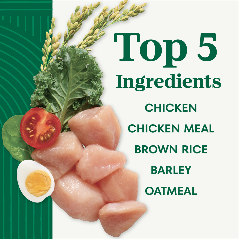 Nutro Wholesome Essentials Small Bites Chicken, Whole Brown Rice and Sweet Potato Dry Dog Food
