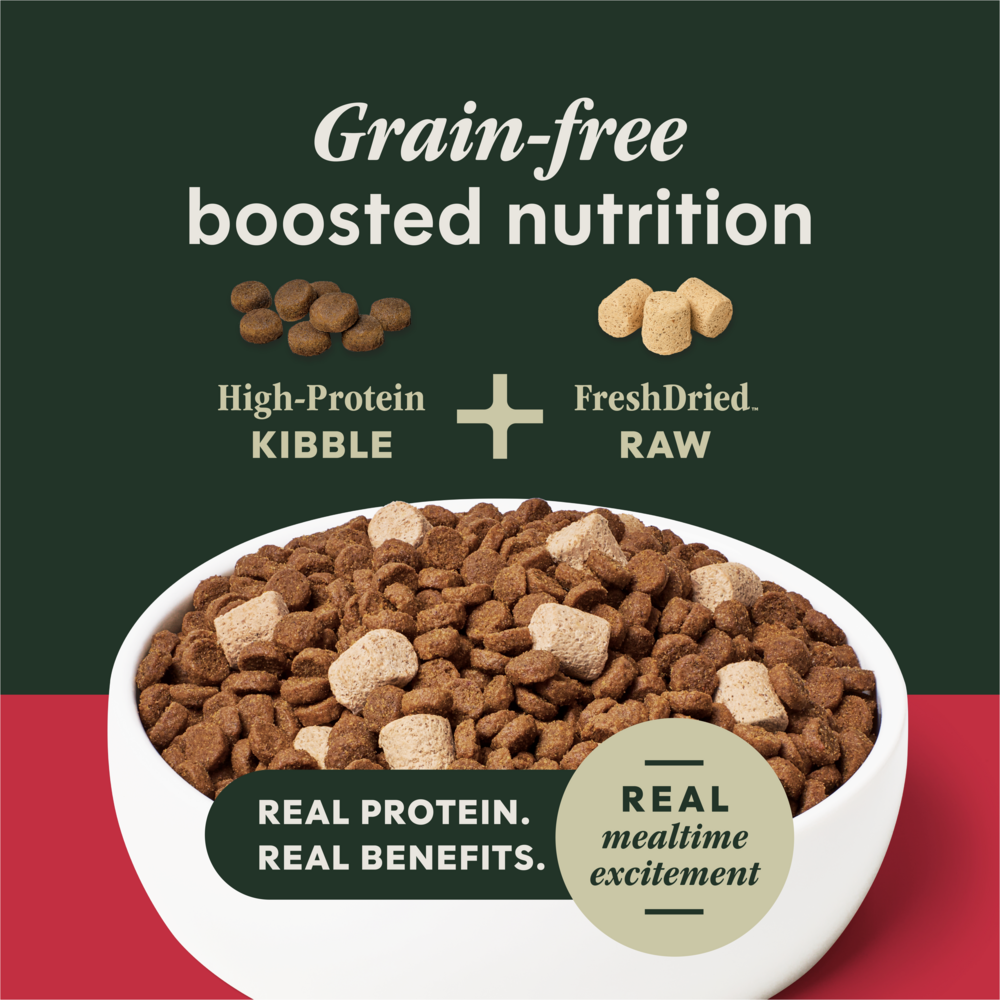Instinct Raw Boost Grain Free Recipe with Real Beef Natural Dry Dog Food