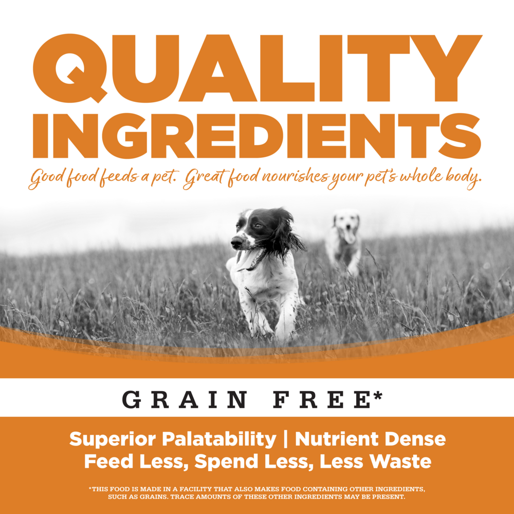 NutriSource Grain Free Lamb Formula Canned Dog Food