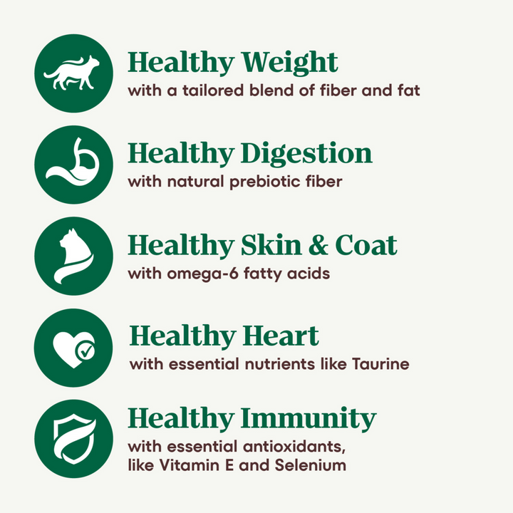Nutro Wholesome Essentials Indoor Chicken and Brown Rice Recipe Adult  Dry Cat Food