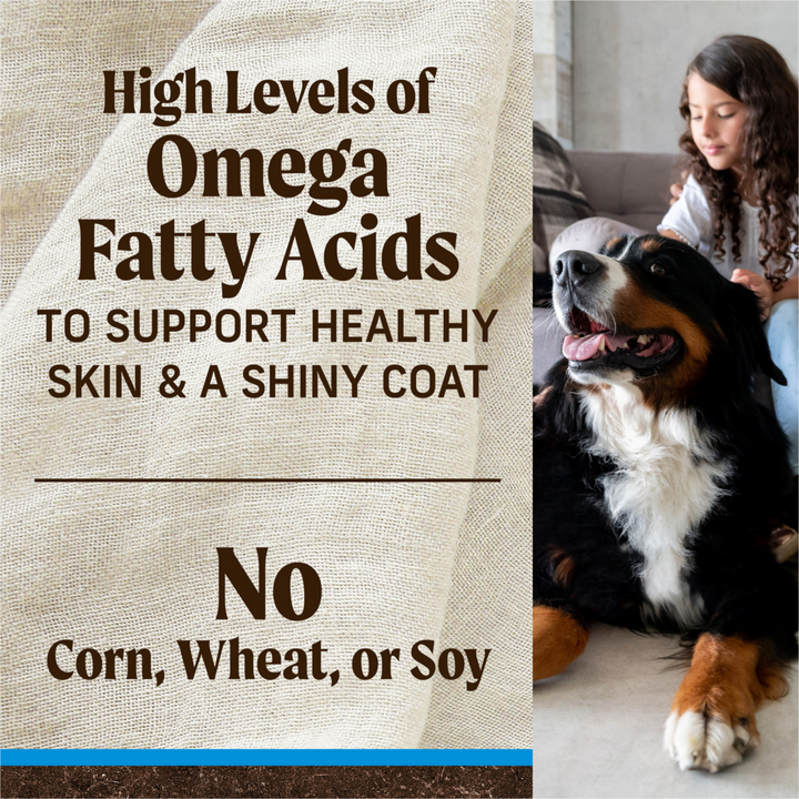 Merrick Grain Free Large Breed Adult Dry Dog Food