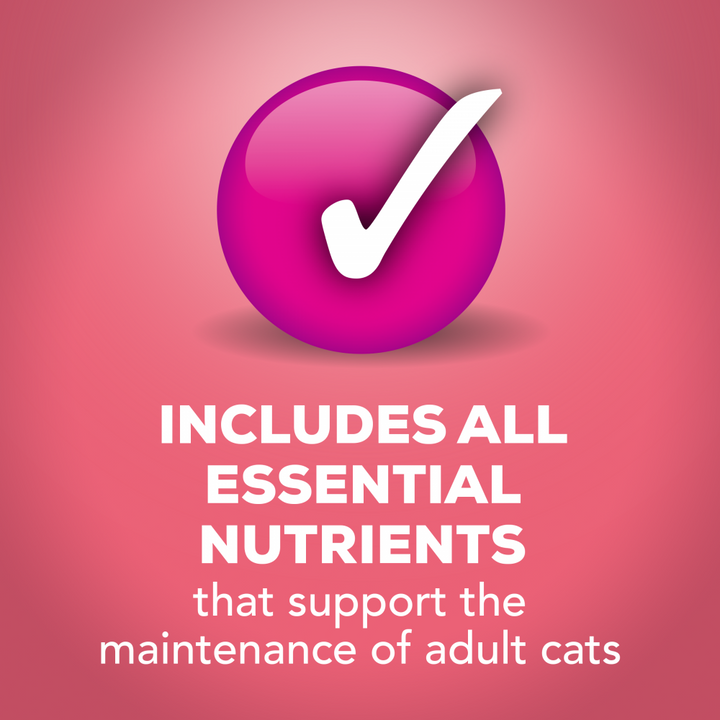 Friskies Extra Gravy Chunky Salmon Wet Cat Food