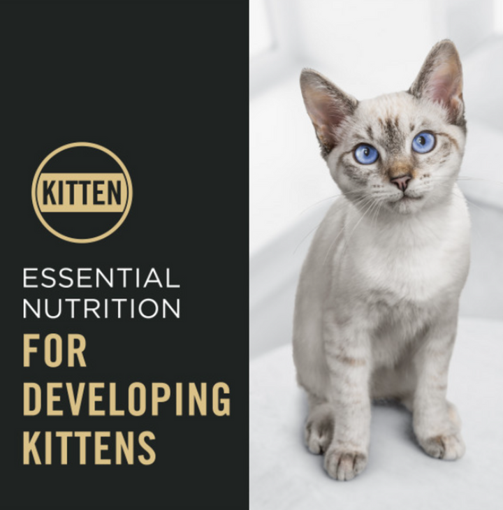 ProPlan Complete Essentials Chicken and Rice Dry Kitten Food