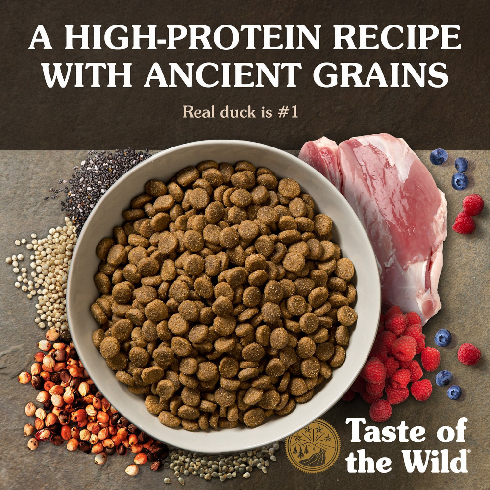 Taste of the Wild Ancient Wetlands with Ancient Grains Dry Dog Food ...
