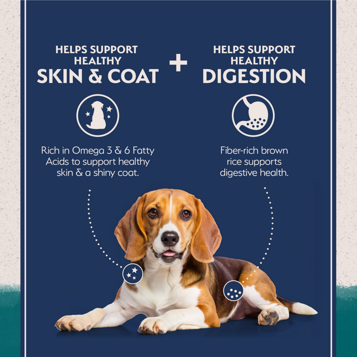 Natural Balance Limited Ingredient Dry Dog Food, Chicken & Brown Rice Recipe