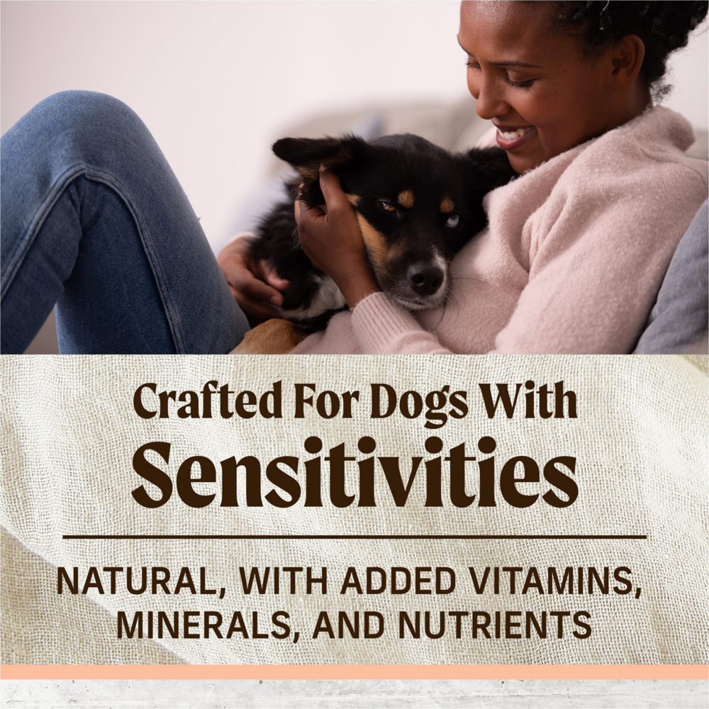 Merrick Limited Ingredient Diet Salmon and Brown Rice Adult Dry Dog Food