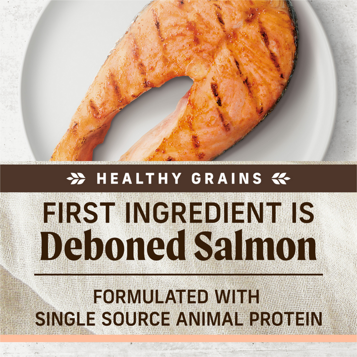 Merrick Limited Ingredient Diet Salmon and Brown Rice Adult Dry Dog Food