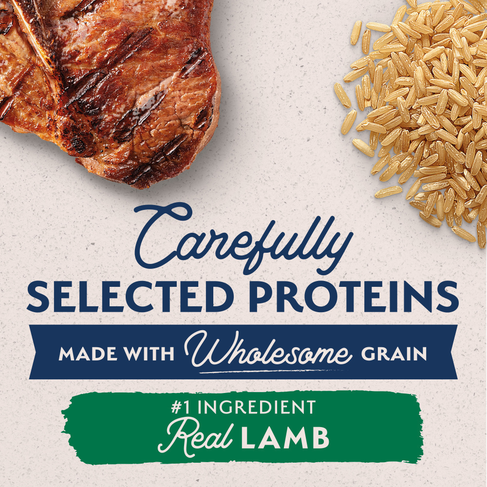 Natural Balance Limited Ingredient Dry Dog Food, Lamb & Brown Rice Recipe