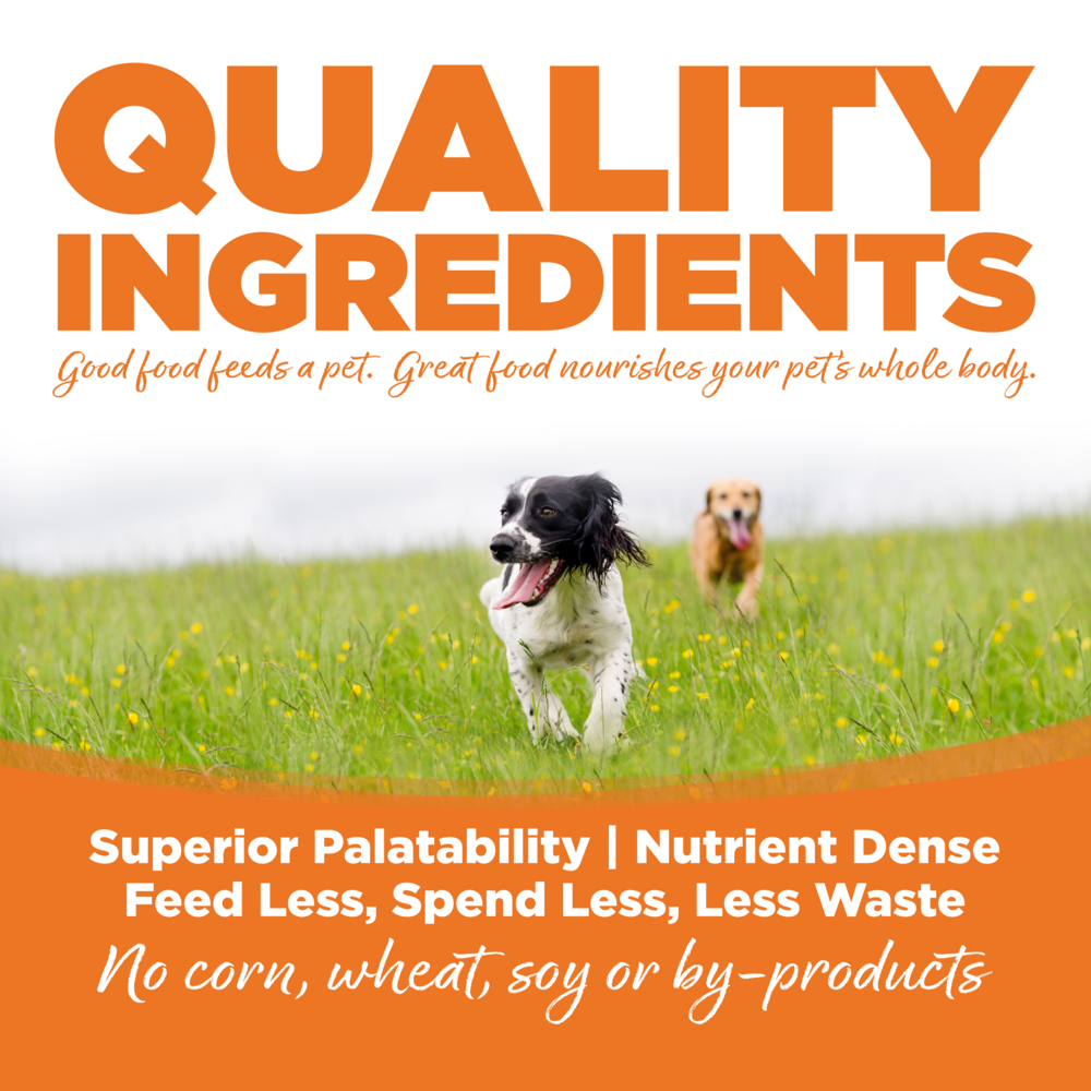 NutriSource Choice Turkey Meal & Barley Recipe Dry Dog Food