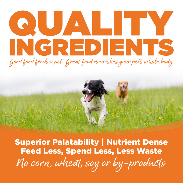 NutriSource Choice Turkey Meal & Barley Recipe Dry Dog Food