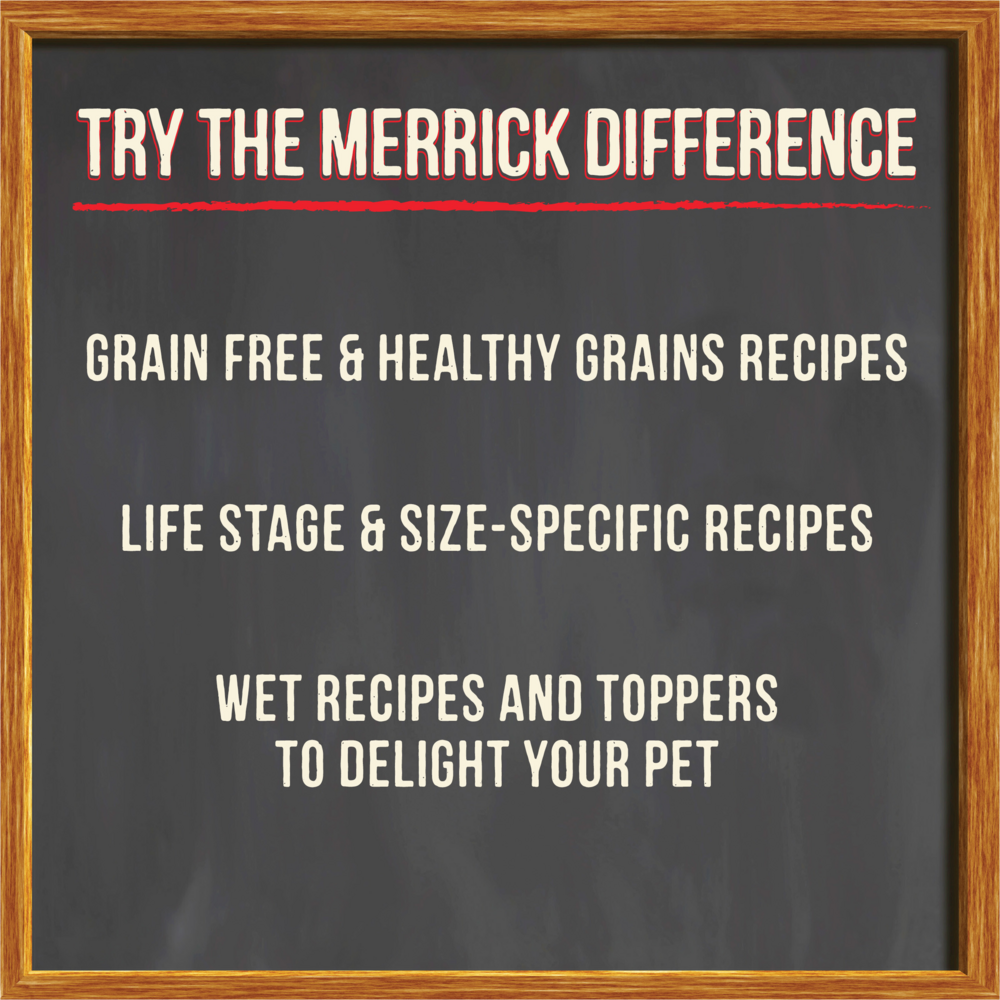 Merrick Turkey Bone Broth Wet Dog Food Topper