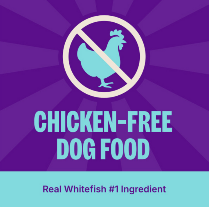 Wellness CORE RawRev Wholesome Grains Ocean Recipe Dry Dog Food