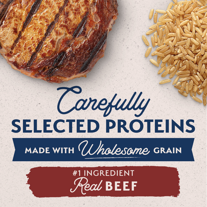 Natural Balance Limited Ingredient Dry Dog Food, Beef & Brown Rice Recipe
