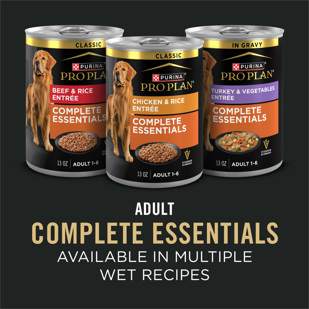 ProPlan Complete Essentials Shredded Blend Turkey and Rice Dry Dog Food