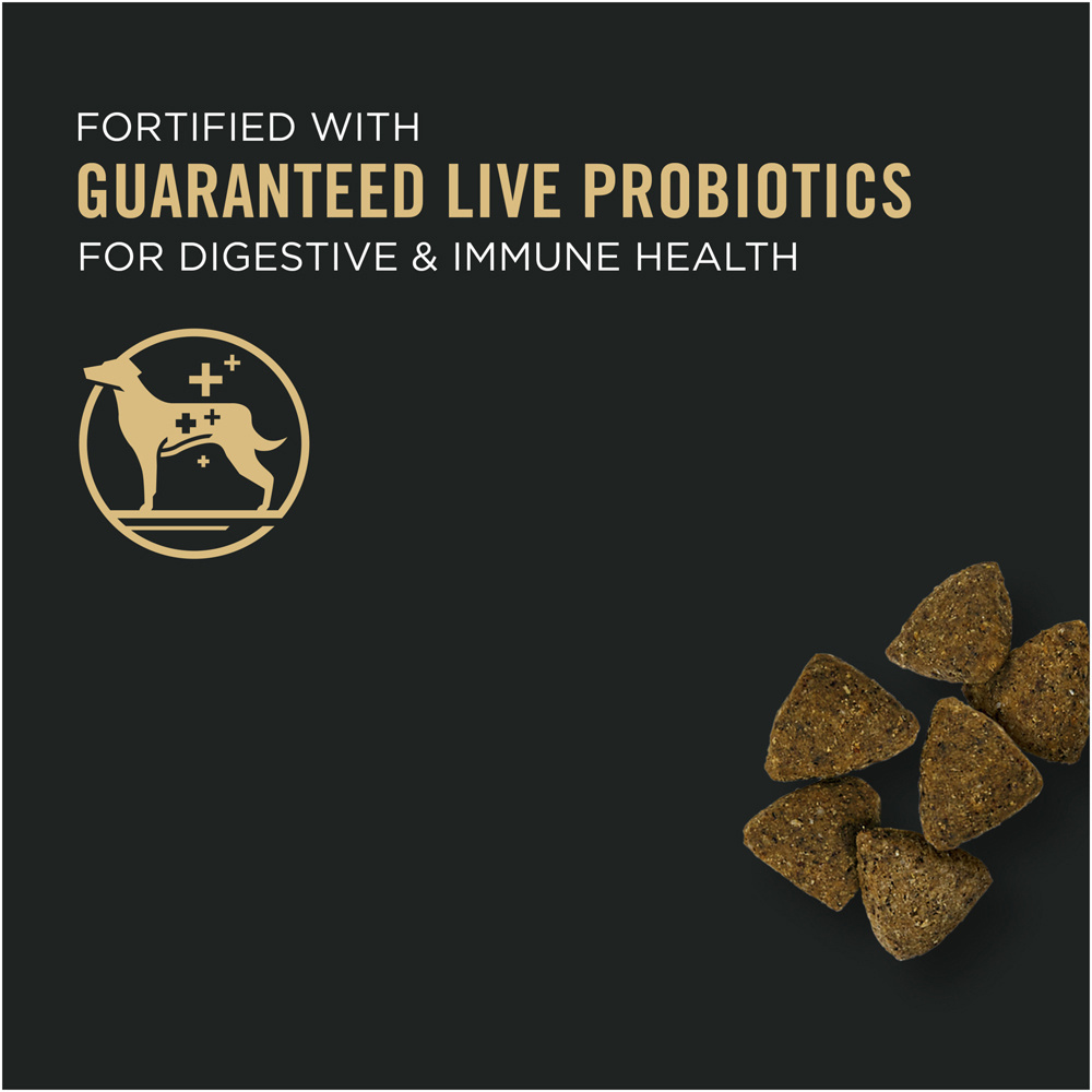 Purina Pro Plan Sensitive Skin and Stomach Dry Dog Food Turkey and Oat Meal