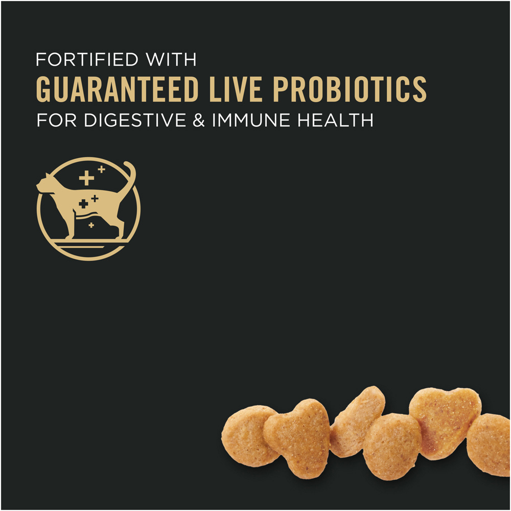 Pro Plan High Protein Sensitive Skin & Stomach Lamb & Rice Formula Dry Cat Food