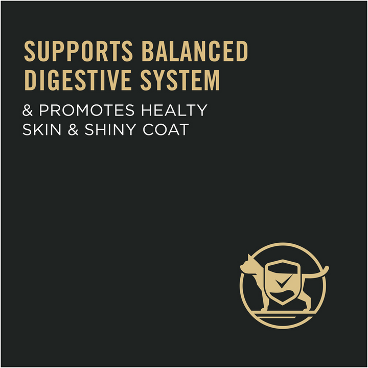 Pro Plan High Protein Sensitive Skin & Stomach Lamb & Rice Formula Dry Cat Food