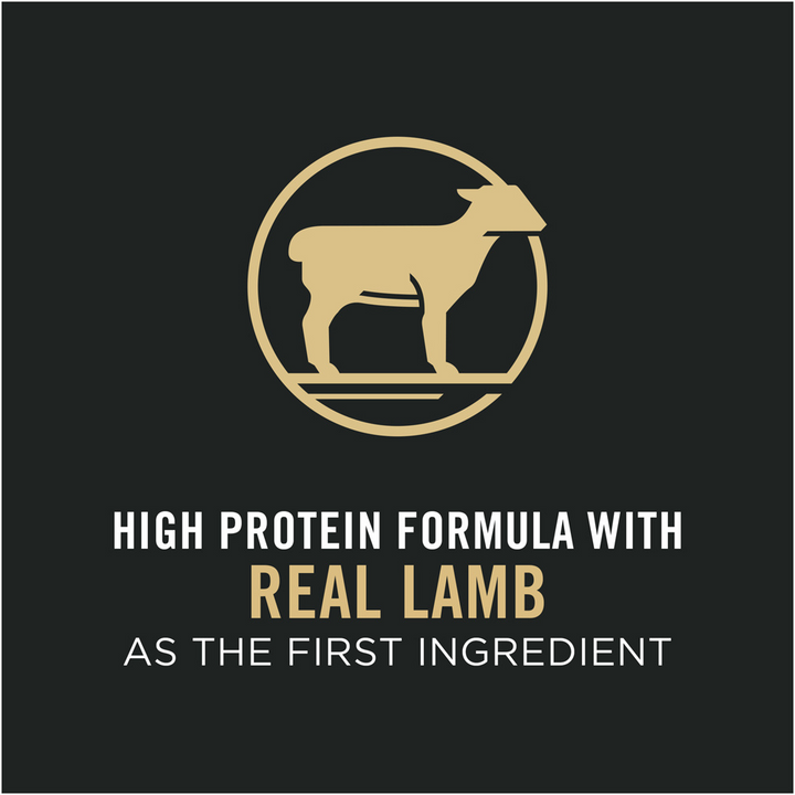 Pro Plan High Protein Sensitive Skin & Stomach Lamb & Rice Formula Dry Cat Food