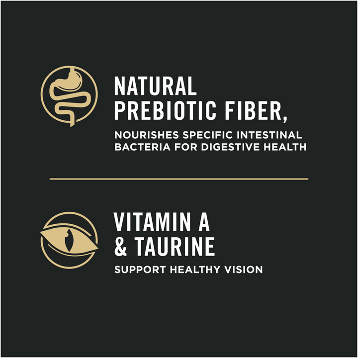 ProPlan Sensitive Skin & Stomach Lamb and Rice Dry Cat Food