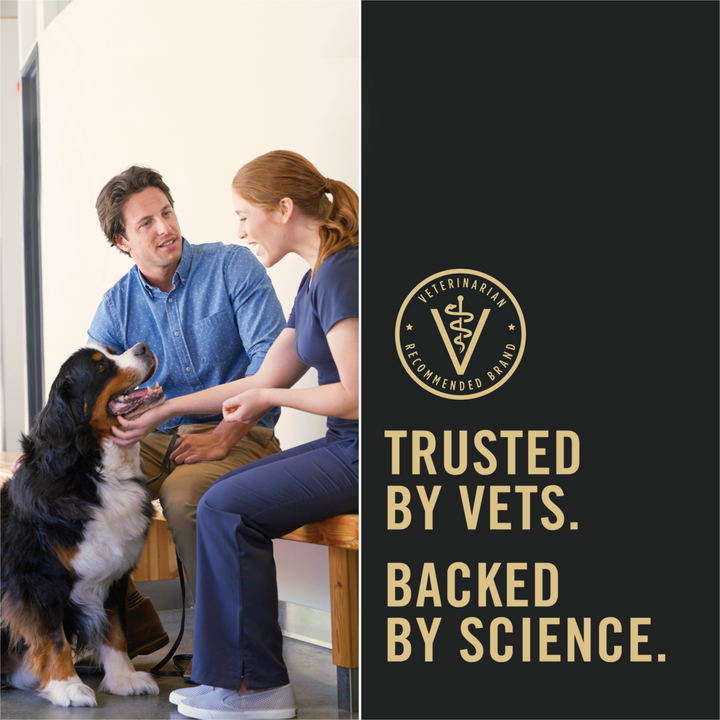 Purina Pro Plan Specialized Shredded Blend Beef & Rice Formula High Protein Small Breed Dry Dog Food