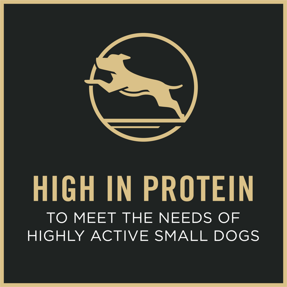 ProPlan Shredded Blend Beef and Rice Small Breed Dry Dog Food