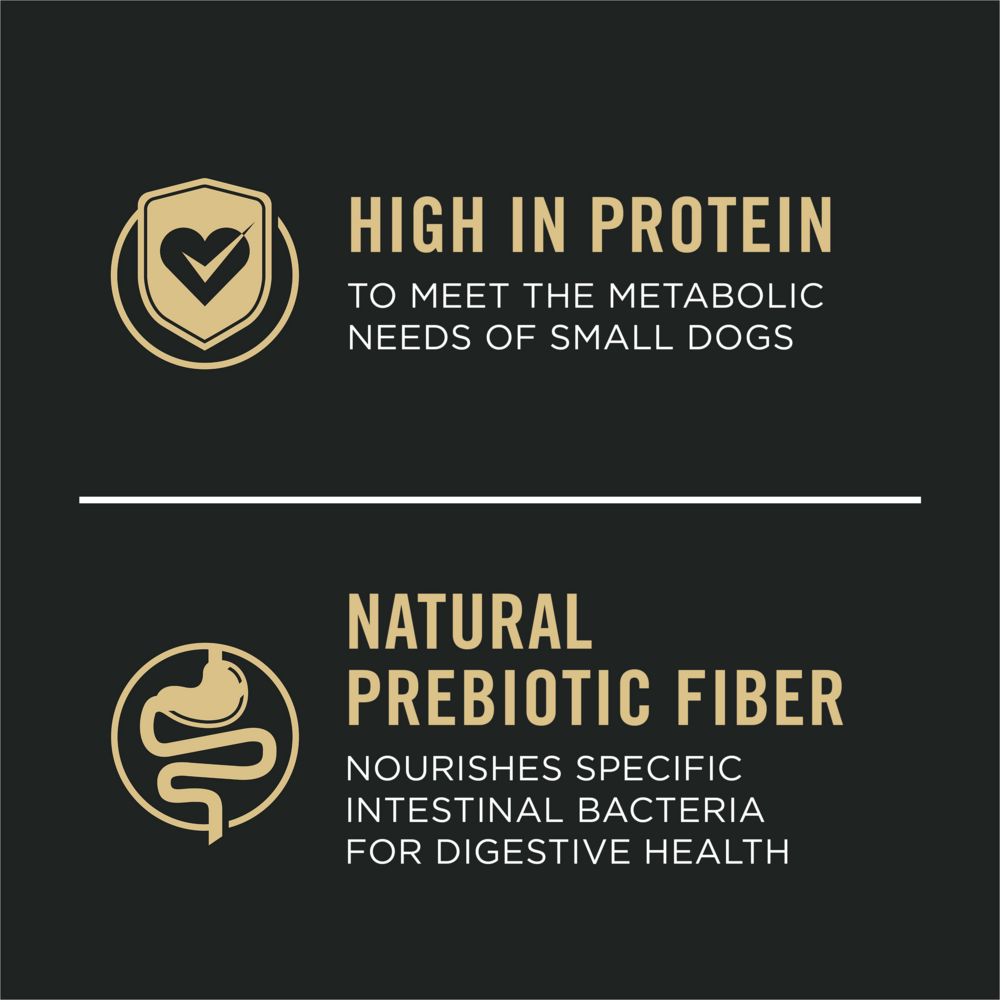 ProPlan Sensitive Skin & Stomach Salmon and Rice Small Breed Dry Dog Food