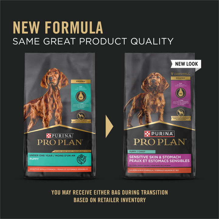 ProPlan Sensitive Skin & Stomach Salmon and Rice Dry Puppy Food