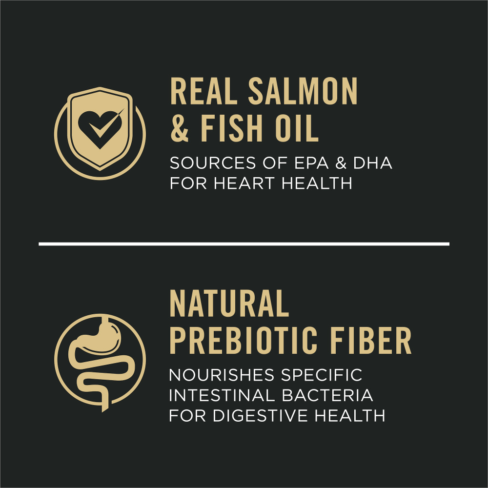 ProPlan Sensitive Skin & Stomach Salmon and Rice Dry Puppy Food