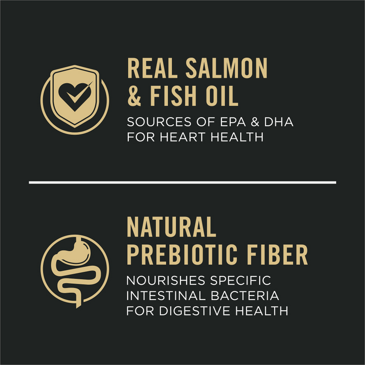 ProPlan Sensitive Skin & Stomach Salmon and Rice Dry Puppy Food