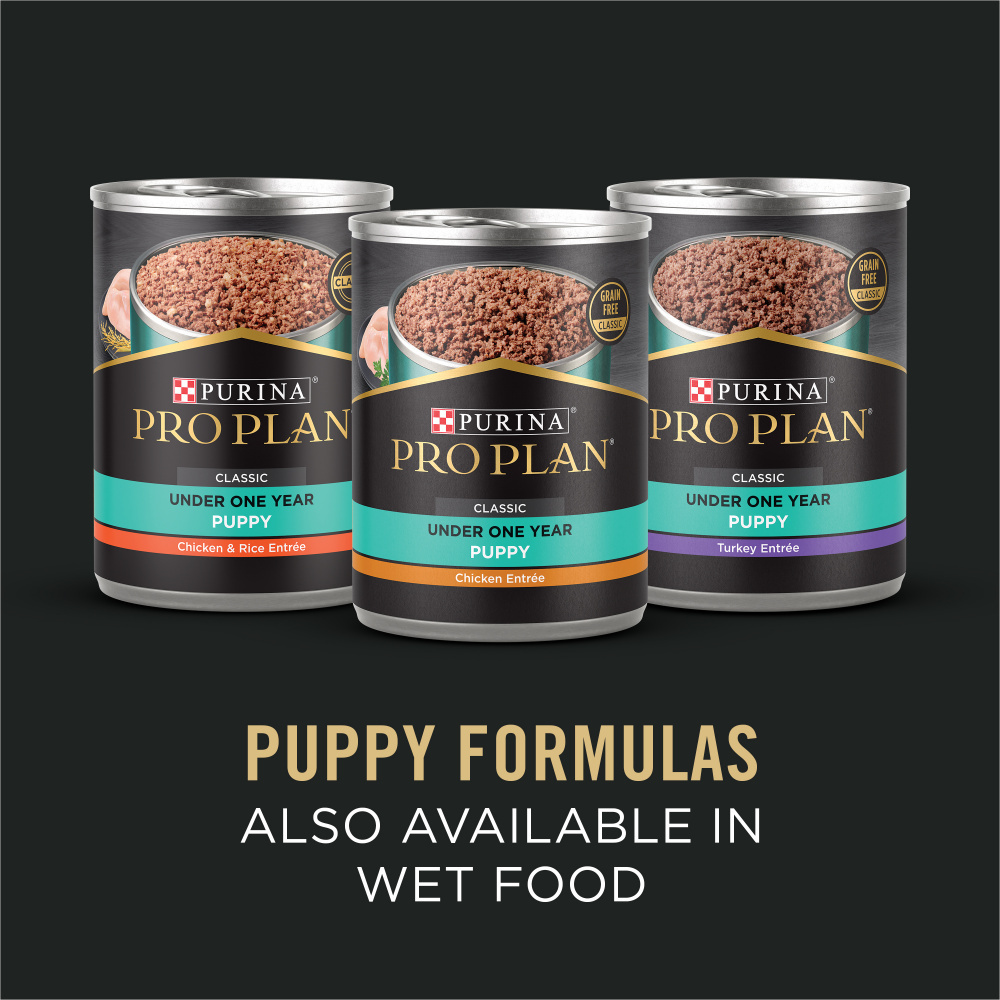ProPlan Sensitive Skin & Stomach Salmon and Rice Dry Puppy Food