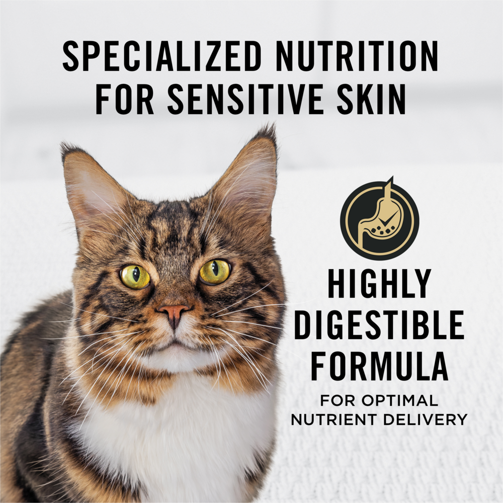 Purina Pro Plan Probiotics Sensitive Skin & Stomach Turkey & Oat Meal Natural Dry Cat Food