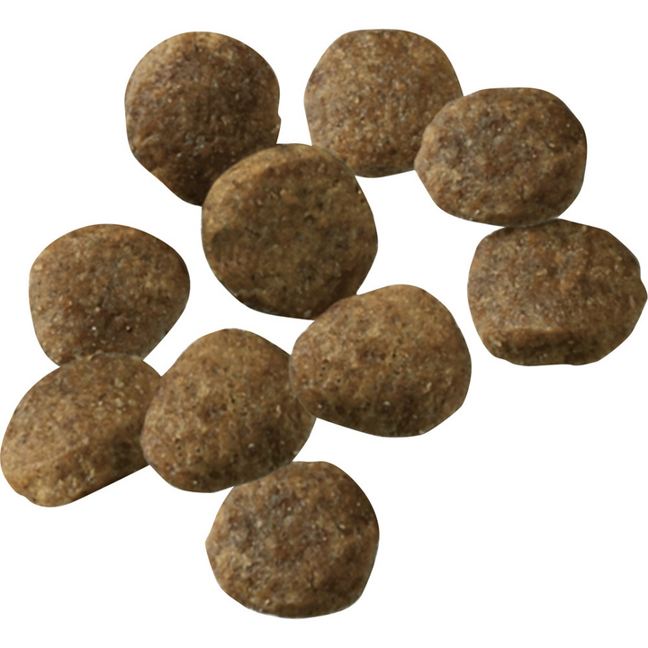 ProPlan Sensitive Skin & Stomach Lamb & Oatmeal Dry Puppy Food