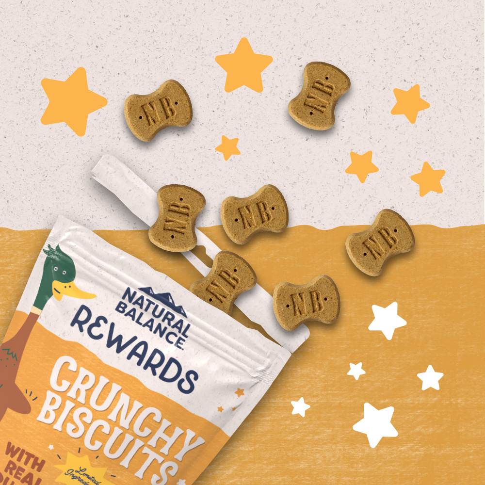 Natural Balance Rewards Crunchy Biscuits Dog Treats for Small Breeds with Real Duck