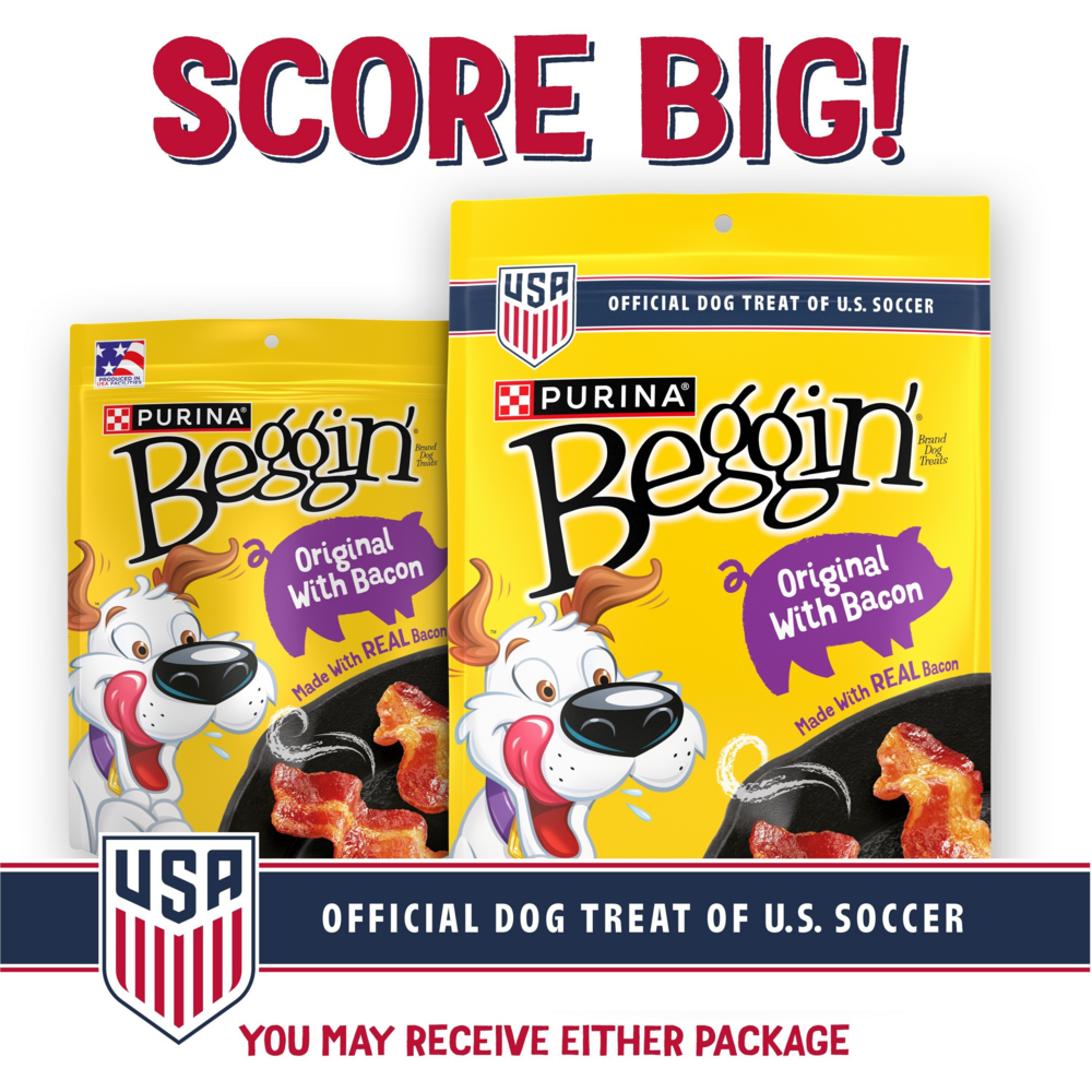 Beggin' Strips Dog Treats, Original With Bacon Flavor