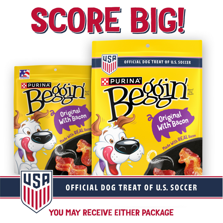 Beggin' Strips Dog Treats, Original With Bacon Flavor