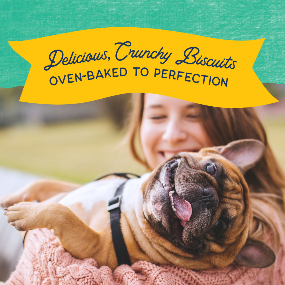 Natural Balance Rewards Crunchy Biscuits Dog Treats for Small Breeds with Real Chicken