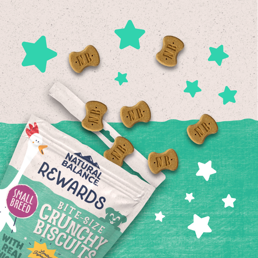 Natural Balance Rewards Crunchy Biscuits Dog Treats for Small Breeds with Real Chicken