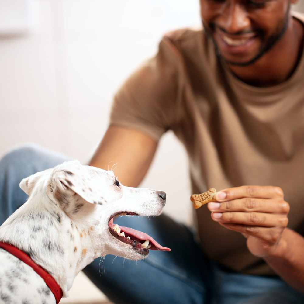 MilkBone Flavor Snacks Mini Dog Treat