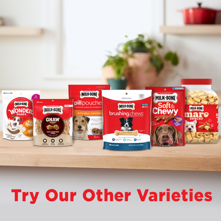 MilkBone Flavor Snacks Mini Dog Treat