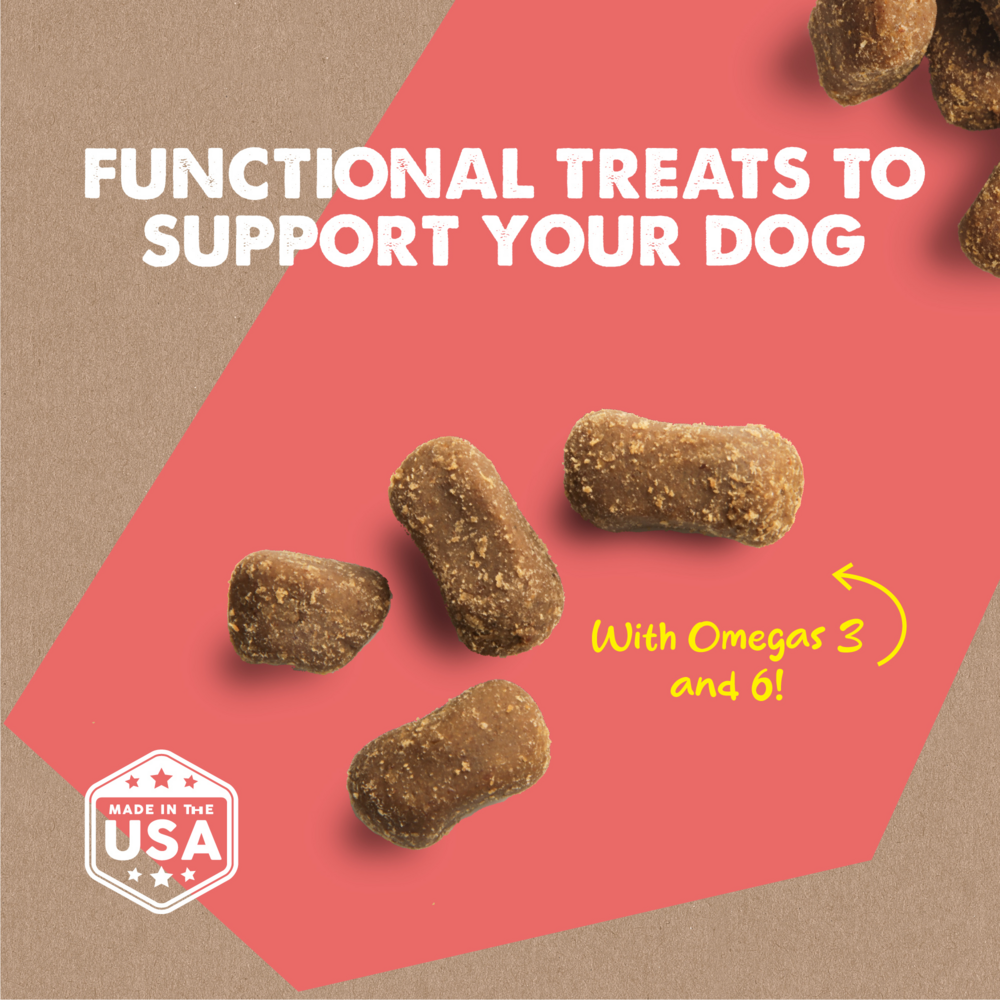 Cloud Star Dynamo Dog Functional Soft Chews Skin and Coat Salmon Dog Treats