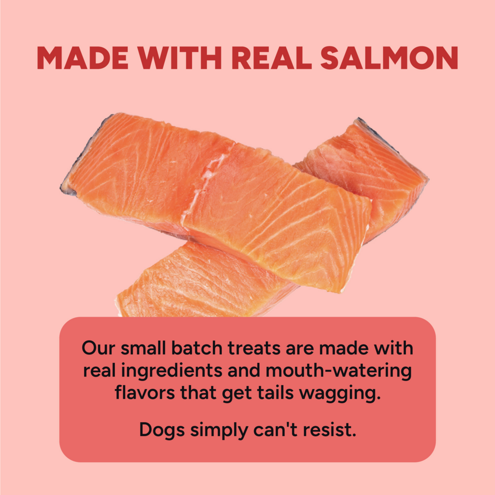 Cloud Star Dynamo Dog Functional Soft Chews Skin and Coat Salmon Dog Treats