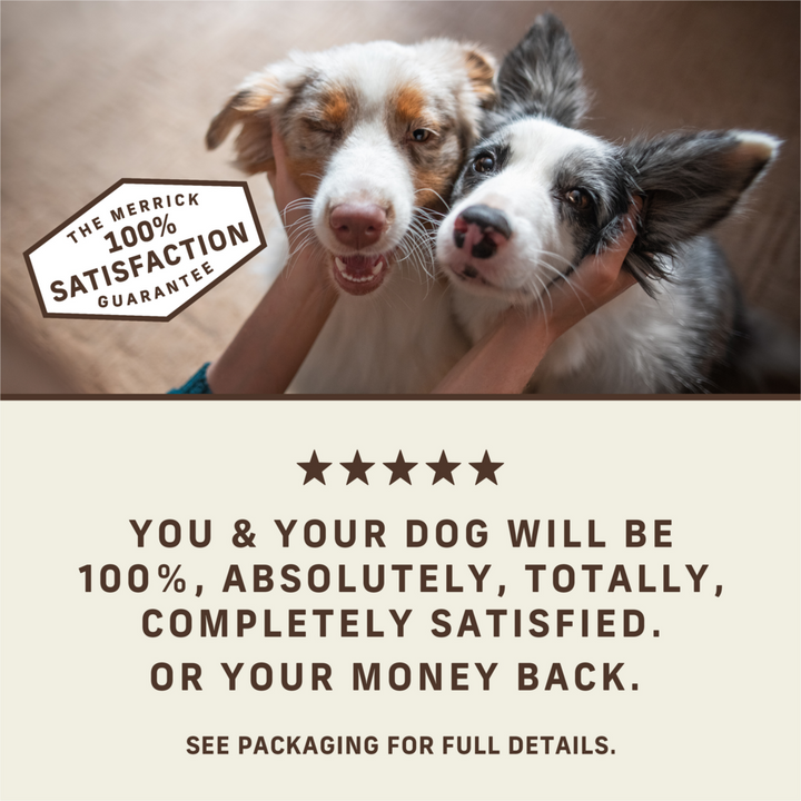 Merrick Power Bites Chicken Dog Treats