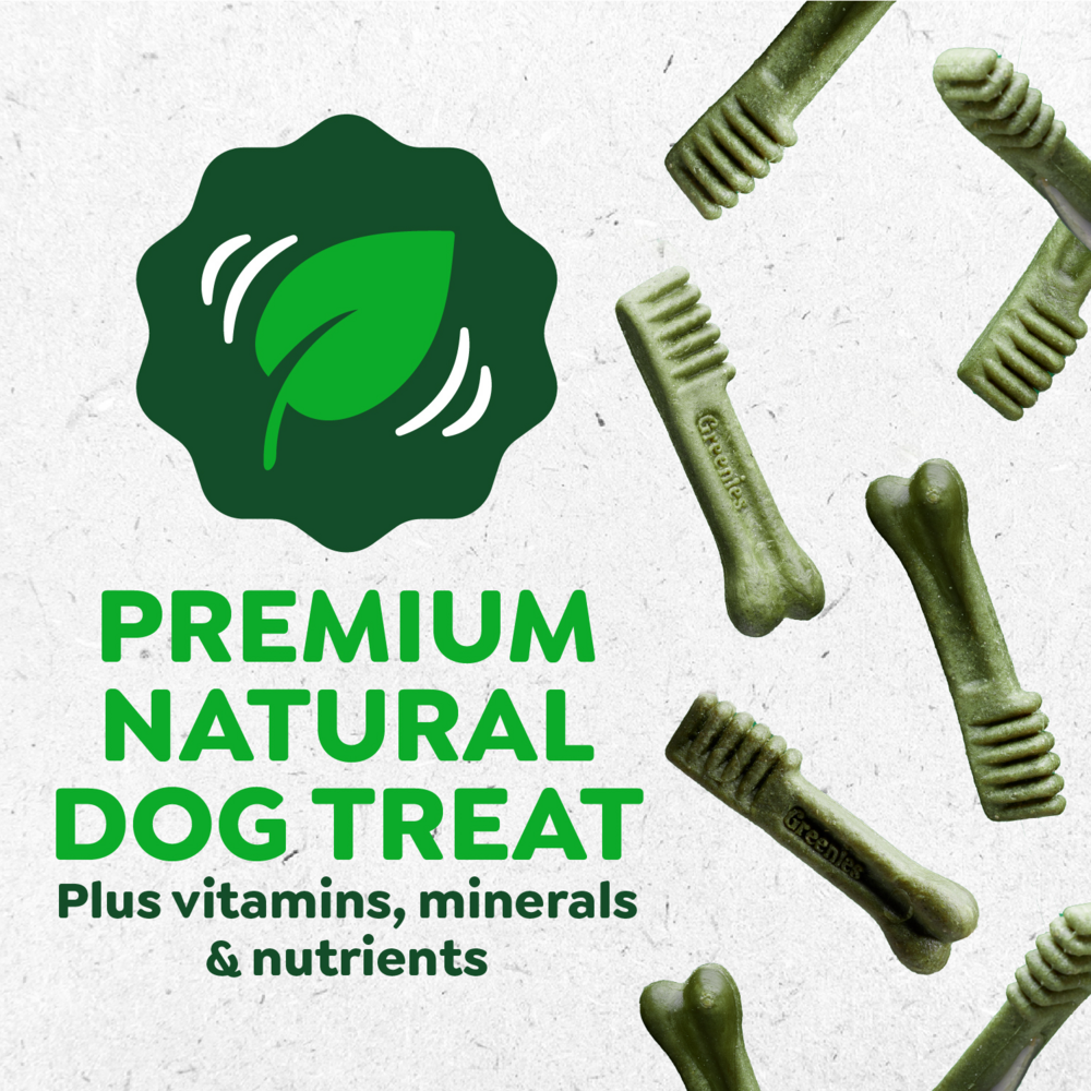 Greenies Regular Blueberry Dental Dog Chews