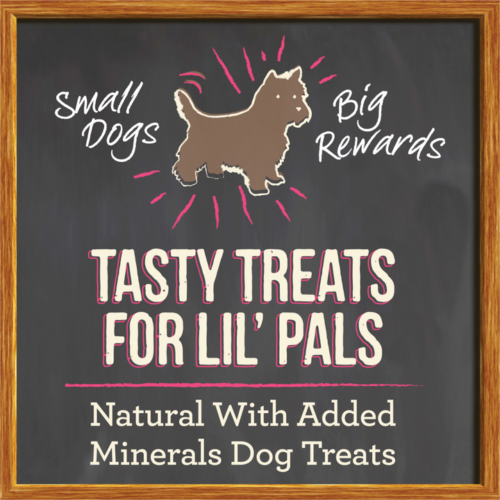 Merrick Lil' Plates Salmon Small Breed Dog Training Treats