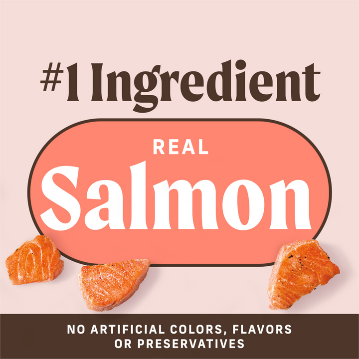 Merrick Power Bites Grain Free Salmon Dog Treats