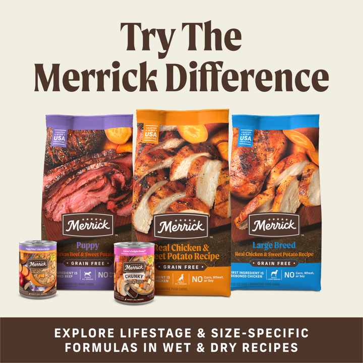 Merrick Power Bites Salmon Dog Treats