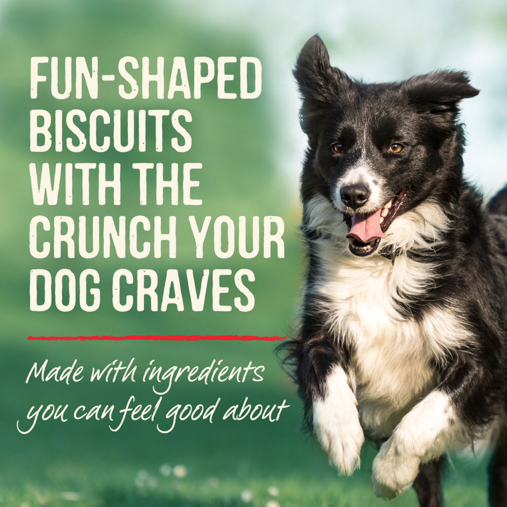Merrick Cowboy Cookout Beef and Bacon Oven Baked Dog Treats